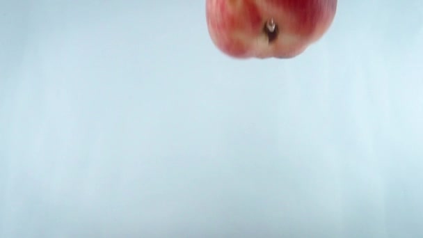 Närbild 4k bilder av munk persikor faller i vatten mot vit backgorund. — Stockvideo