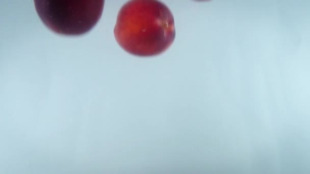 Närbild 4k bilder av nektarin faller i vatten mot vit backgorund. — Stockvideo