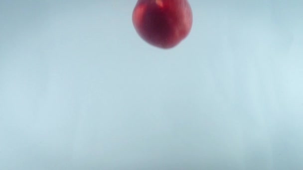 Close-up 4k beelden van nectarine vallen in water tegen witte rug. — Stockvideo