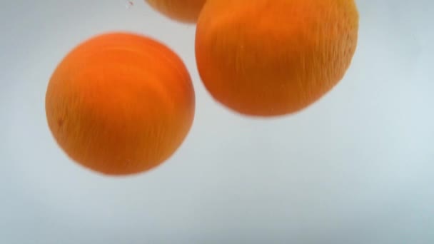 Close-up 4k imagens de sortimento de frutas cítricas caindo na água contra backgorund branco. — Vídeo de Stock