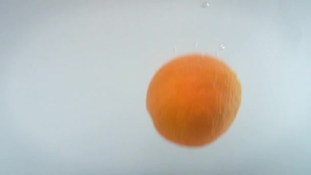 Close-up 4k imagens de sortimento de frutas cítricas caindo na água contra backgorund branco. — Vídeo de Stock