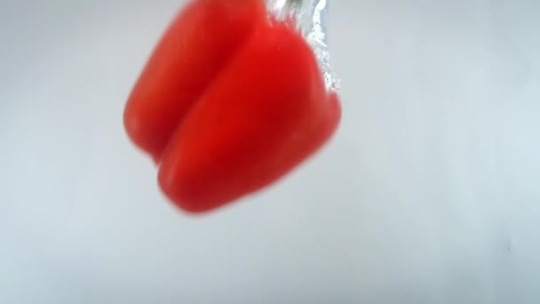 Närbild 4k bilder av paprika faller i vatten mot vit backgorund. — Stockvideo
