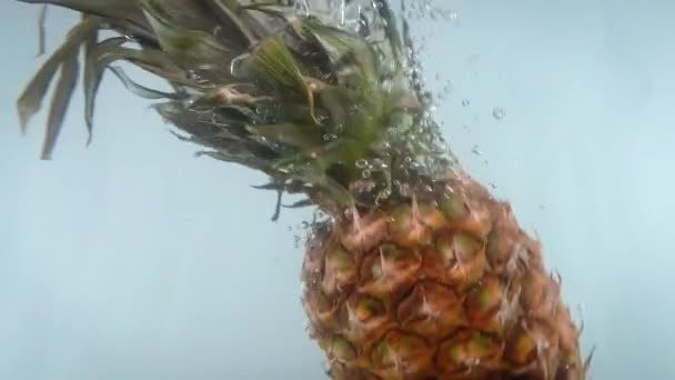 4k 'lık yakın çekim, beyaz sırt çantasına karşı suya düşen ananas görüntüsü.. — Stok video