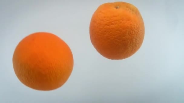 Zbliżenie 4k materiał filmowy z asortymentu owoców cytrusowych wpadających do wody przed białym backgorund. — Wideo stockowe