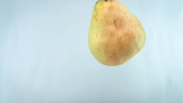 Gros plan 4k images de poire tombant dans l'eau contre backgorund blanc. — Video