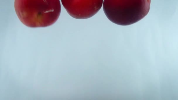 水蜜桃落在水面上与白色后果皮对抗的4k镜头. — 图库视频影像