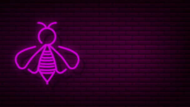 Létající včela. Ikona včel. Pohybová grafika. — Stock video