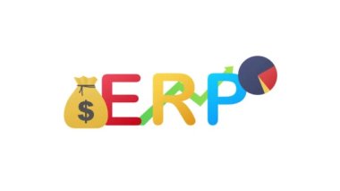 ERP, girişim kaynak planlaması. Verimlilik ve gelişim. Hareket grafikleri