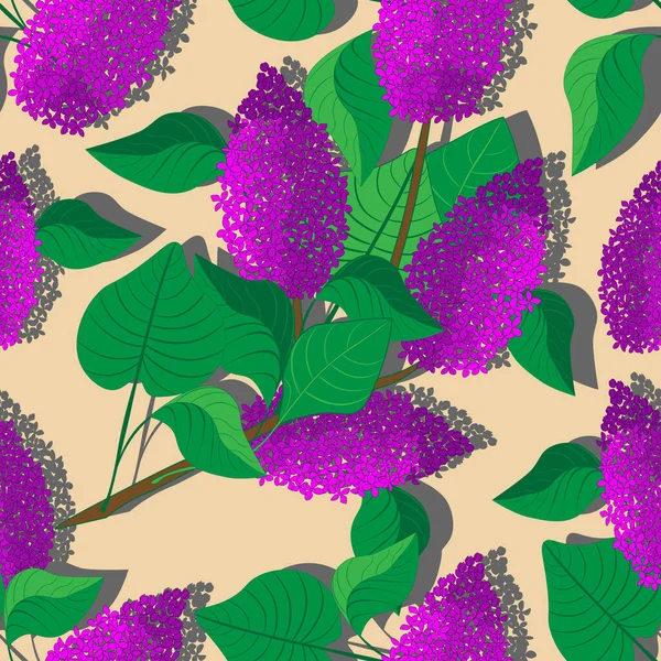 Bezešvé Květinové Vzory Šeříkovými Květy Vektor Umění Ilustrace — Stockový vektor