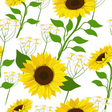 Beyaz arka planda ayçiçekleri olan kusursuz bir desen. Vektör. Sanat & Resimleri.