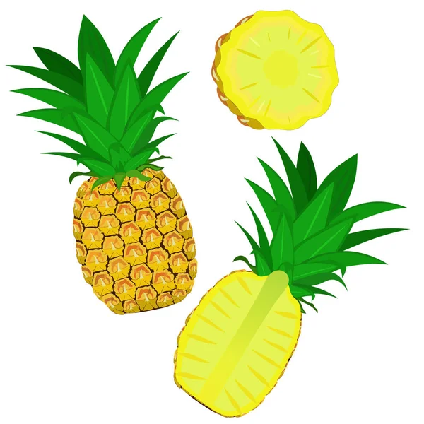 Beyaz arkaplanda izole edilmiş ananas, clipart, vektör.