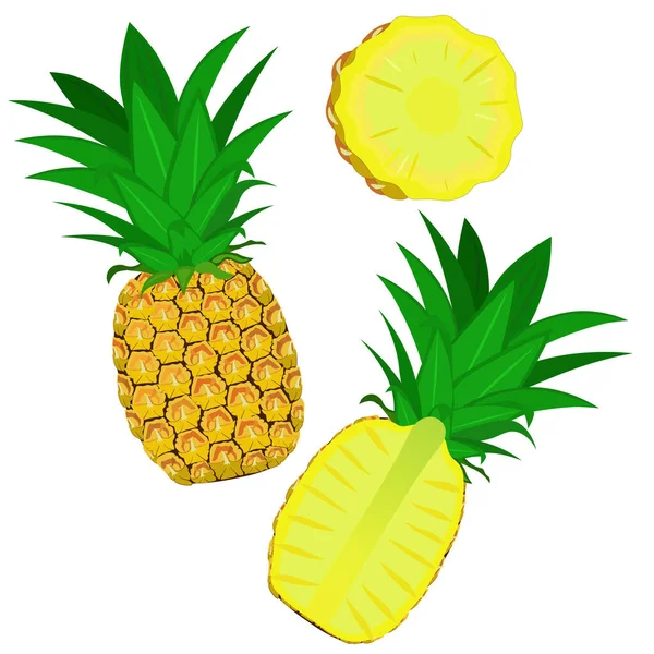 Ananas Isoliert Auf Weißem Hintergrund Cliparts Vektor — Stockvektor