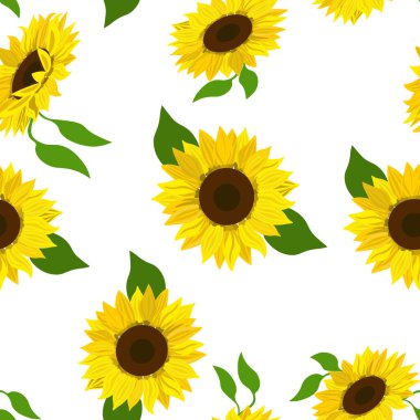 Kusursuz çiçek deseni, vektör. Beyaz arkaplanda ayçiçekleri.