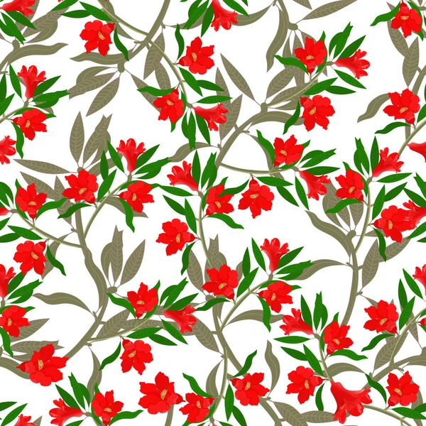 Seamless Floral Pattern Flowers Branches Pomegranate Tree Vector — Stock Vector