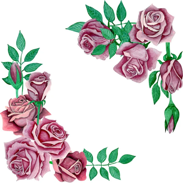 バラのコーナーフレーム 水彩イラスト ピンクのバラの手描きセット — ストック写真