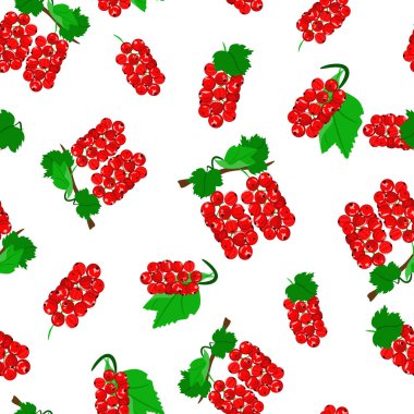 Beyaz arka planda kırmızı frenk üzümü. Kusursuz kalıp, vektör.