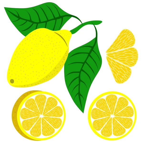 Yapraklı limon, limon dilimleri ve beyaz arka planda izole edilmiş takozlar. Clipart, vektör.