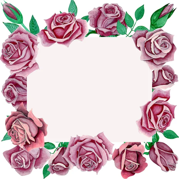 Frame Roses Watercolour Illustration Hand Draw Set Pink Roses — Stock Photo, Image