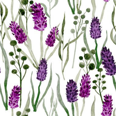 Kusursuz çiçek deseni. Beyaz arka planda elle çizilmiş kır çiçekleri.