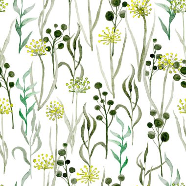 Kusursuz çiçek deseni. Beyaz arka planda el yapımı suluboya kır çiçekleri ve bitkiler.