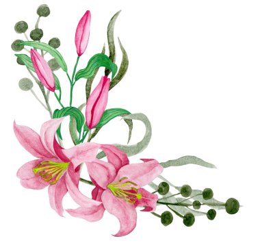Watercolour hand drawn. Bouquet of lilies and wild plants.