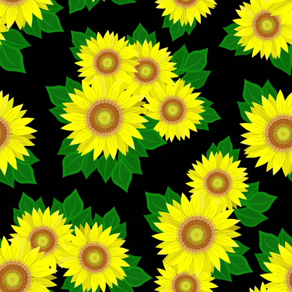 Blühende Sonnenblumen Auf Schwarzem Hintergrund Florales Nahtloses Muster Vektor — Stockfoto