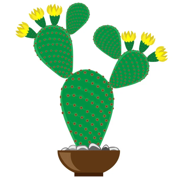 Kaktus Opuntia Objekt Isoliert Auf Weißem Hintergrund Cliparts Vektor — Stockvektor