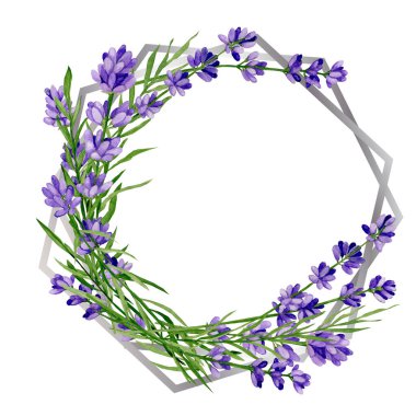Suluboya el çizimi. Gümüş çerçeve ve lavanta çiçekleri.