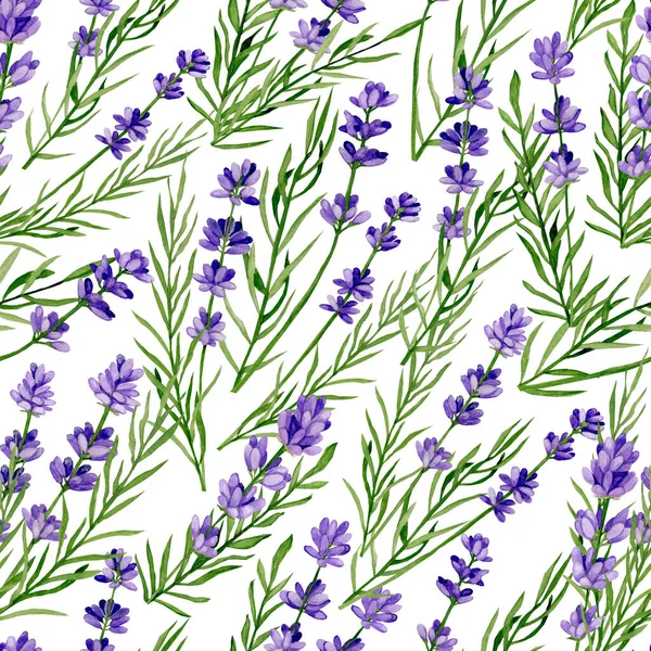 Aquarell Handgezeichnete Lavendelzweige Auf Weißem Hintergrund — Stockfoto