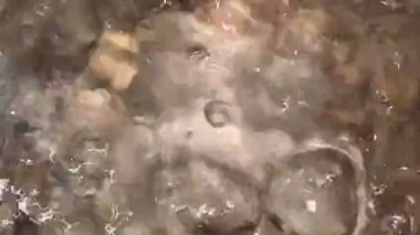 Sade su bir tencerede kaynıyor. Yemek yapmaya hazırlanıyorum..