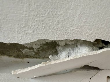 Kırık, beyaz küf ve küfle büyüyen hasarlı bir duvarın yakın çekimi. Küf ve küf insan sağlığına zararlıdır..