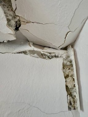 Kırık, beyaz küf ve küfle büyüyen hasarlı bir duvarın yakın çekimi. Küf ve küf insan sağlığına zararlıdır..