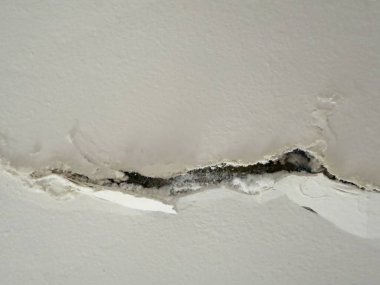 Kırık, beyaz küf ve küfle büyüyen hasarlı bir duvarın yakın çekimi. Küf ve küf insan sağlığına zararlıdır..