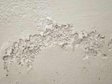 Kırık, beyaz küf ve küfle büyüyen hasarlı bir duvarın yakın çekimi. Küf ve küf insan sağlığına zararlıdır..