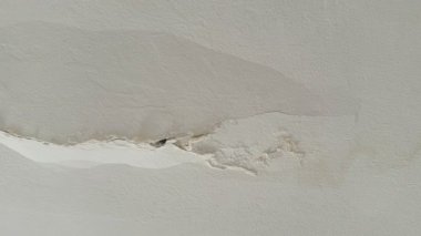 Kırık, beyaz küf ve küfle büyüyen hasarlı bir duvarın yakın çekimi. Küf ve küf insan sağlığına zararlıdır..