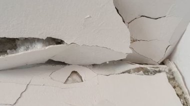 Kırık, beyaz küf ve küfle büyüyen hasarlı bir duvarın yakın çekimi. Küf ve küf insan sağlığına zararlıdır..