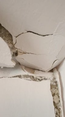 Kırık, beyaz küf ve küfle büyüyen hasarlı bir duvarın yakın çekimi. Küf ve küf insan sağlığına zararlıdır..