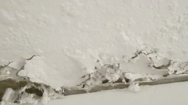 Kırık, beyaz küf ve küfle büyüyen hasarlı bir duvarın yakın çekimi. Küf ve küf insan sağlığına zararlıdır..