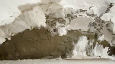 Kırık, beyaz küf ve küfle büyüyen hasarlı bir duvarın yakın çekimi. Küf ve küf insan sağlığına zararlıdır..