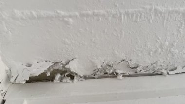 Kırık, beyaz küf ve küfle büyüyen hasarlı bir duvarın yakın çekimi. Küf ve küf insan sağlığına zararlıdır..