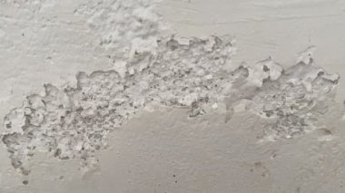 Kırık, beyaz küf ve küfle büyüyen hasarlı bir duvarın yakın çekimi. Küf ve küf insan sağlığına zararlıdır..