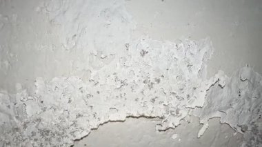 Kırık, beyaz küf ve küfle büyüyen hasarlı bir duvarın yakın çekimi. Küf ve küf insan sağlığına zararlıdır..