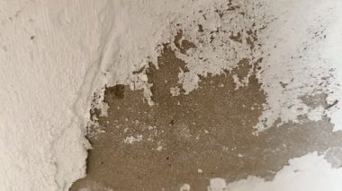 Kırık, beyaz küf ve küfle büyüyen hasarlı bir duvarın yakın çekimi. Küf ve küf insan sağlığına zararlıdır..