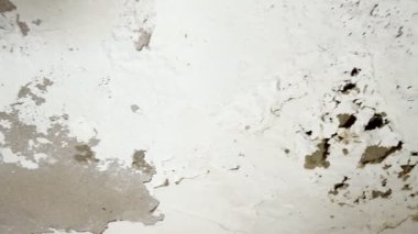 Kırık, beyaz küf ve küfle büyüyen hasarlı bir duvarın yakın çekimi. Küf ve küf insan sağlığına zararlıdır..