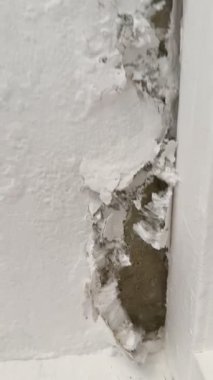 Kırık, beyaz küf ve küfle büyüyen hasarlı bir duvarın yakın çekimi. Küf ve küf insan sağlığına zararlıdır..