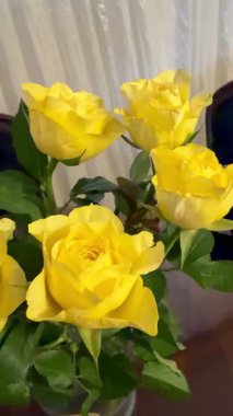 Masadaki vazoda duran bir buket sarı gül. Güzel bir gül buketinin yakın çekimi..