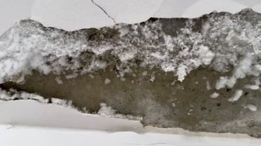 Kırık, beyaz küf ve küfle büyüyen hasarlı bir duvarın yakın çekimi. Küf ve küf insan sağlığına zararlıdır..