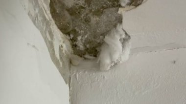 Kırık, beyaz küf ve küfle büyüyen hasarlı bir duvarın yakın çekimi. Küf ve küf insan sağlığına zararlıdır..