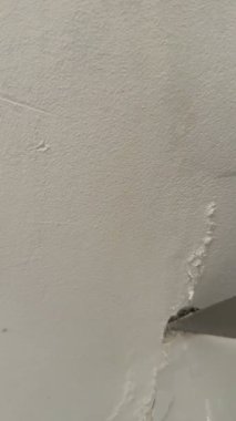 Kırık, beyaz küf ve küfle büyüyen hasarlı bir duvarın yakın çekimi. Küf ve küf insan sağlığına zararlıdır..