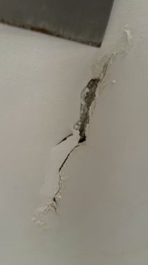 Kırık, beyaz küf ve küfle büyüyen hasarlı bir duvarın yakın çekimi. Küf ve küf insan sağlığına zararlıdır..